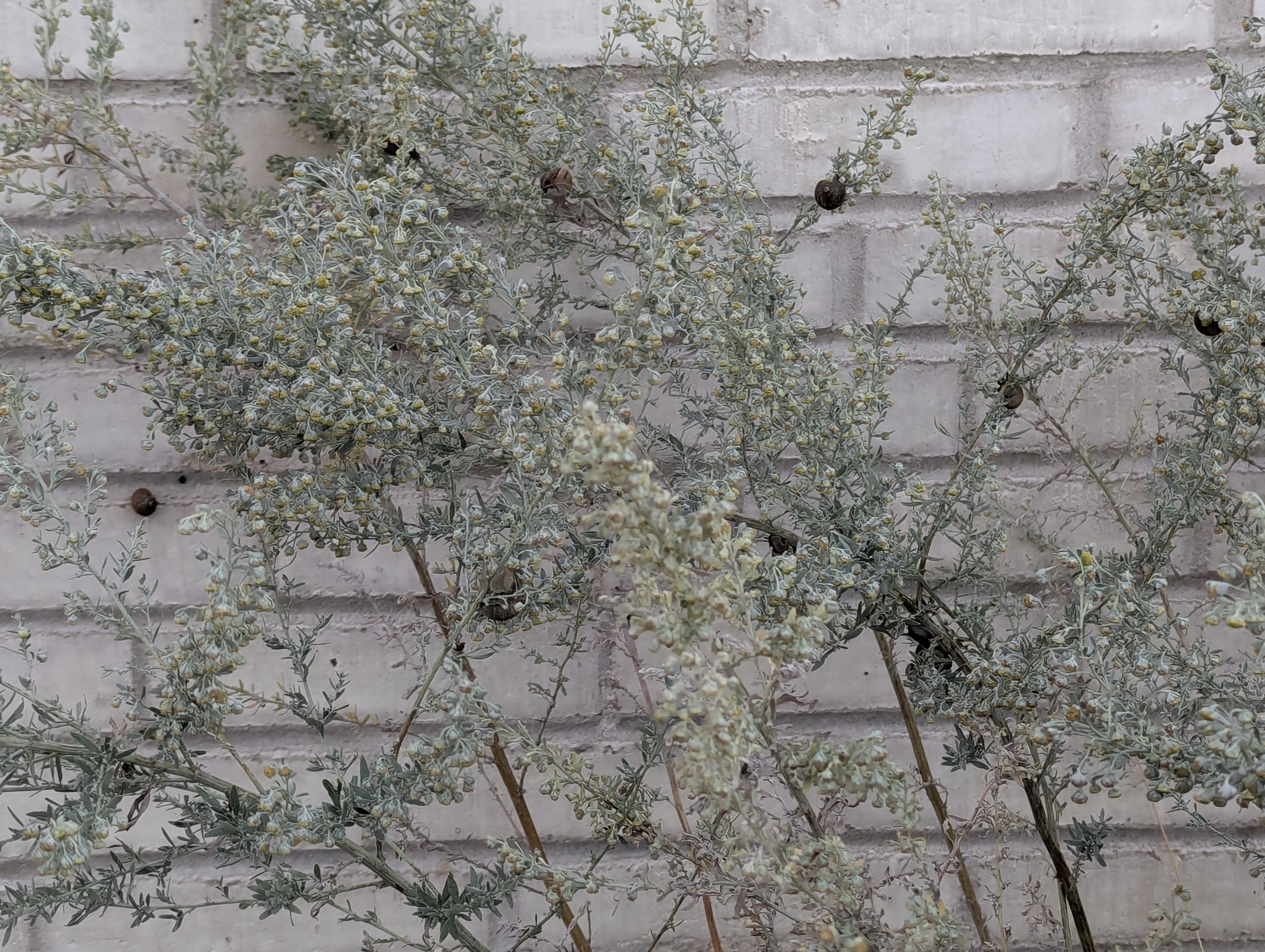 Copenhagen, Scandic Hotel